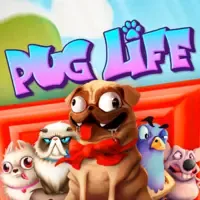 Pug Life thumbnail