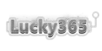 Pembayar 28